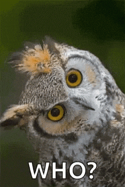 20GFwR.gif