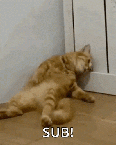 20GbCv.gif