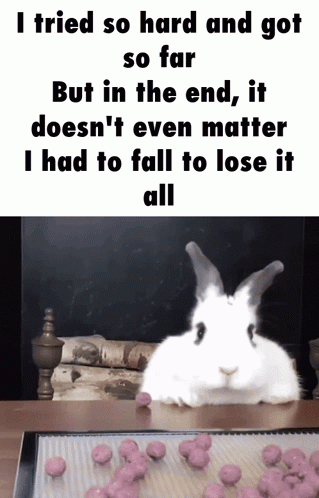 20xcbb.gif