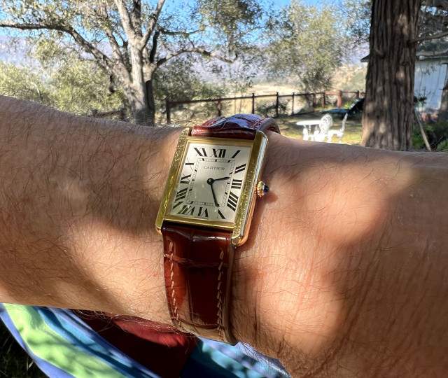 Cartier Solo wristshot 6
