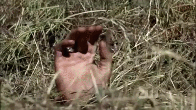 2JDewt.gif