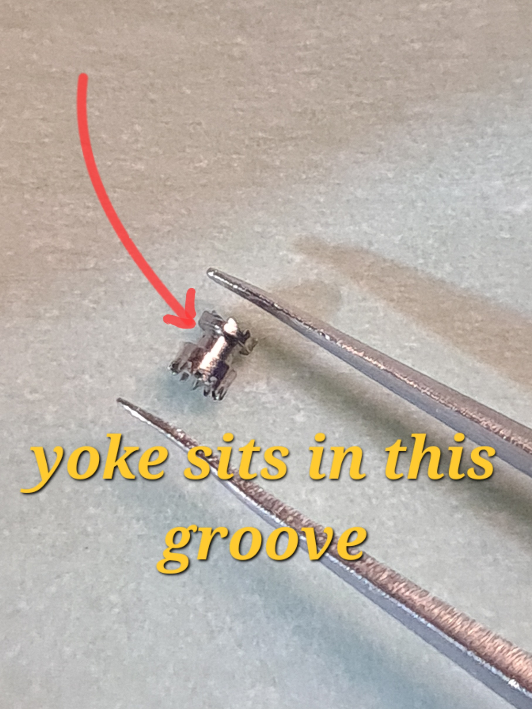 2QvU1s.jpeg