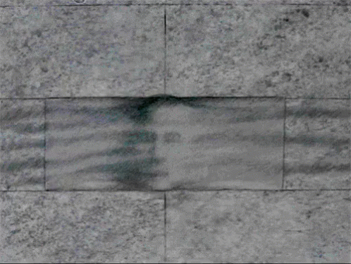 2SxCap.gif