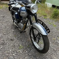2V8Z13