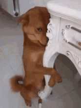 2bG7h4.gif
