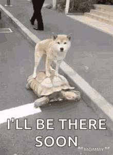 2bfIWF.gif