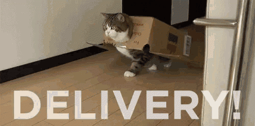 2bjNkP.gif