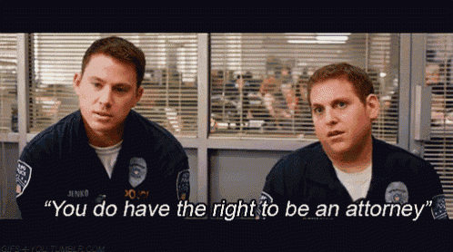 2cvICv.gif