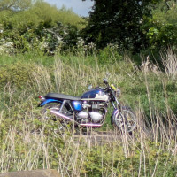 2dzD32