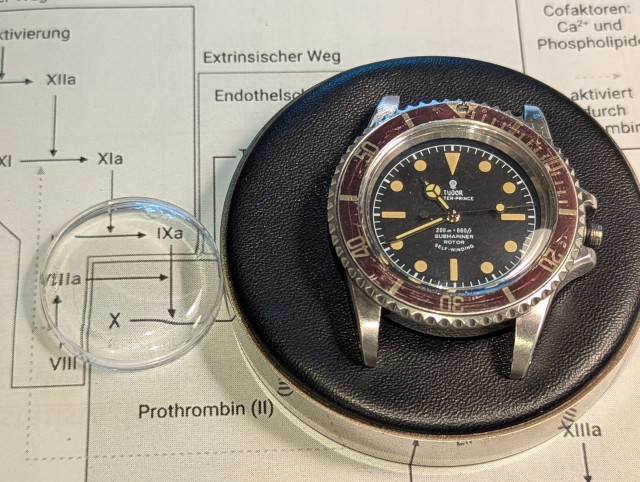 1000029315