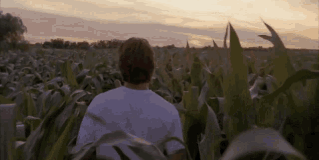 2lfOuW.gif