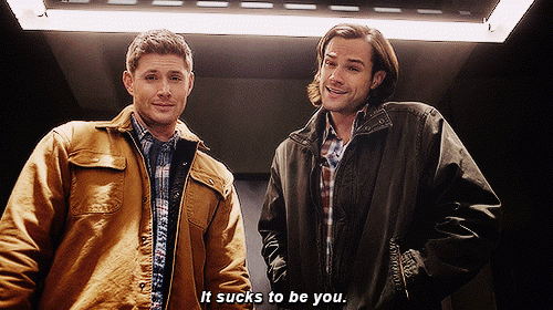 2sYGnD.gif