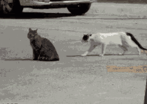 2xTJZ4.gif