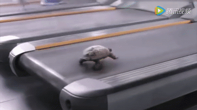 2xXJ8k.gif