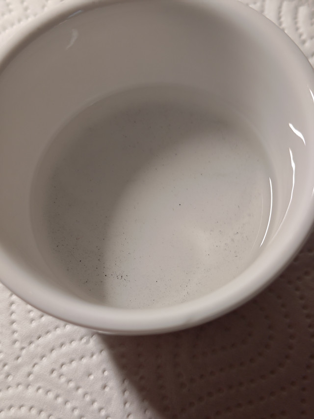 P 20230412 170846
