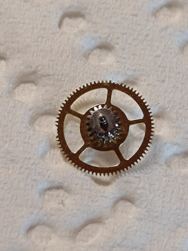 P 20230605 174652
