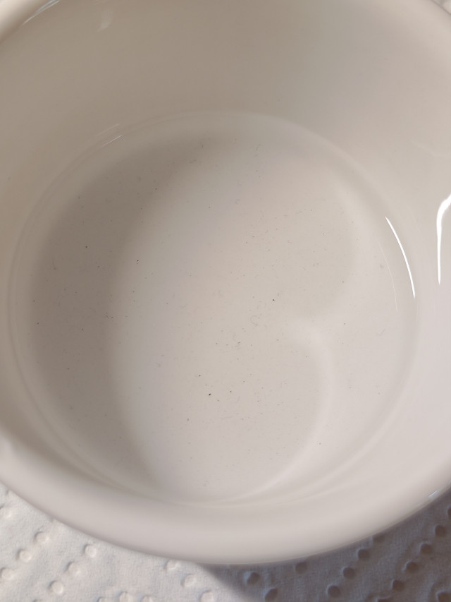 P 20230605 181313