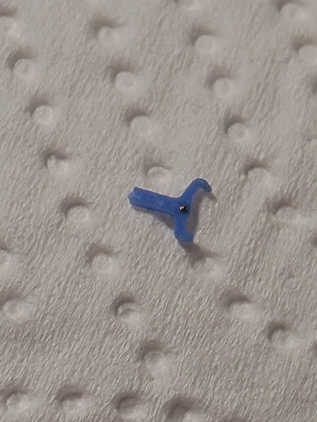 P 20230424 182726