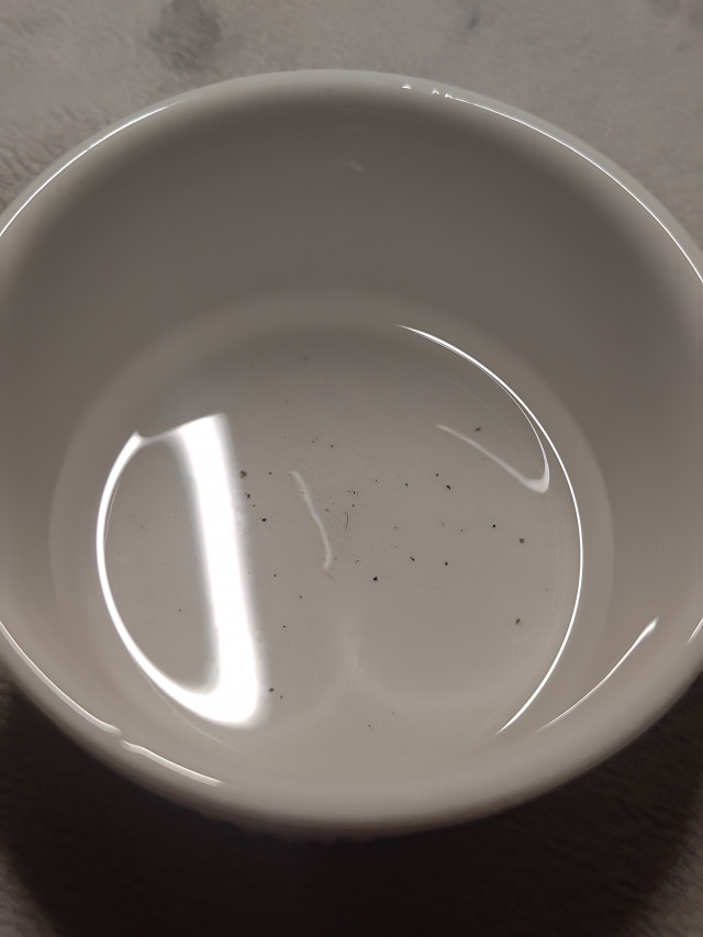 P 20230424 183754