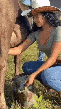 Ajv2E1.gif