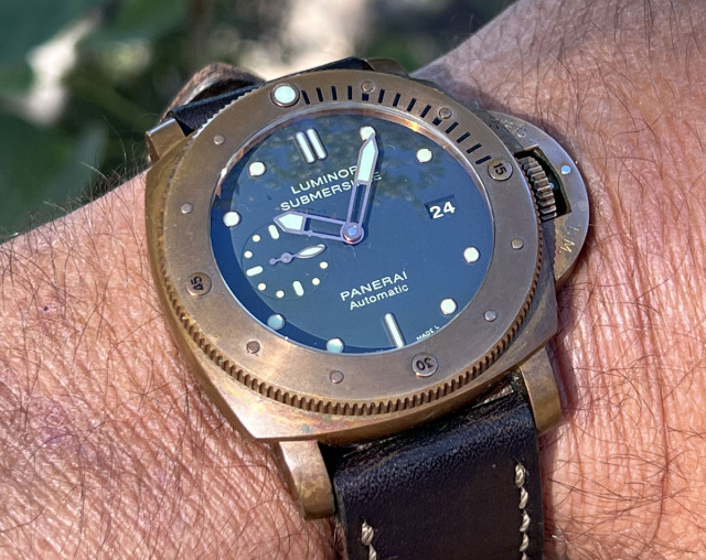 PAM382 wristshot 3
