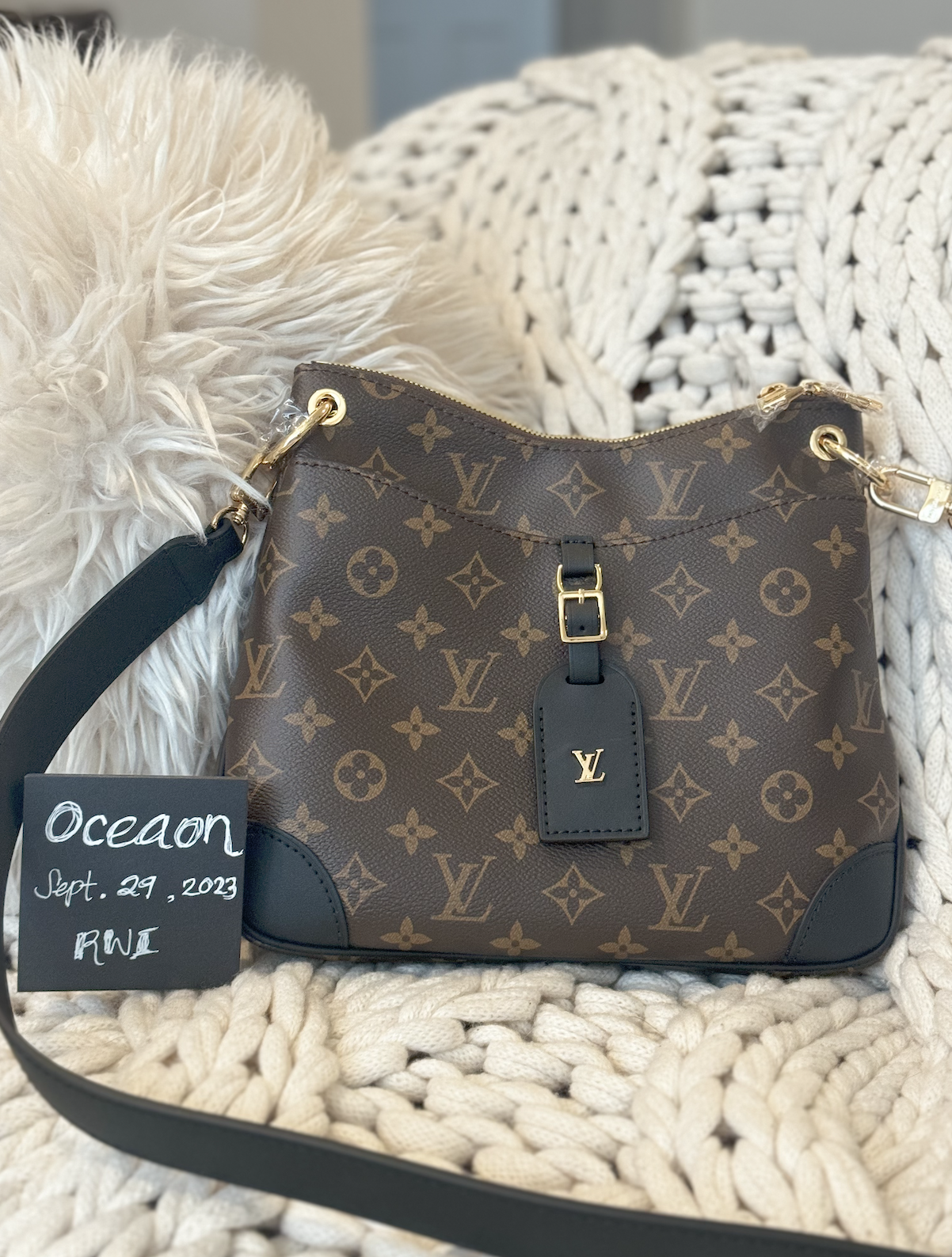 Louis Vuitton Odeon Pm 2020 Reviewed