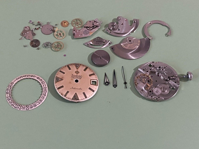Zodiac Guts