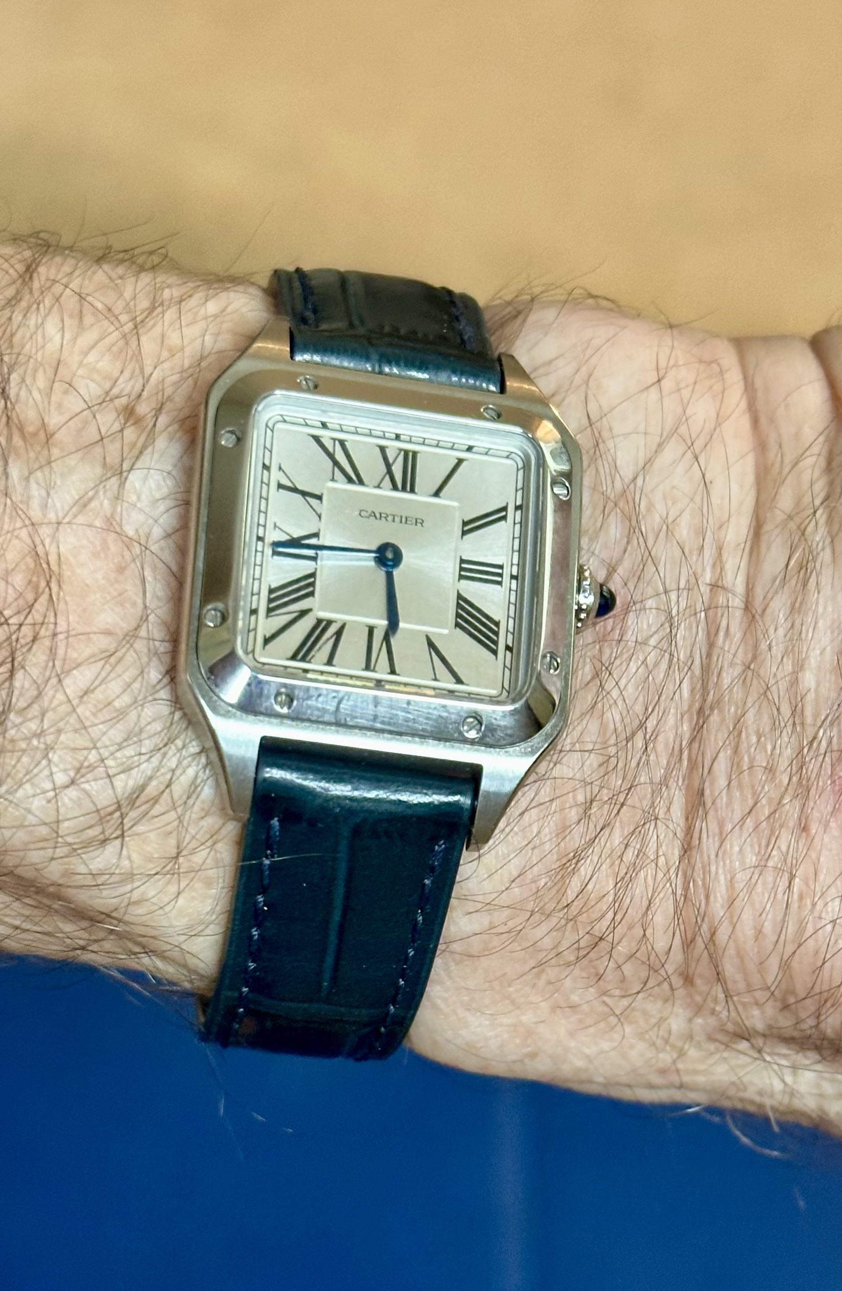 Show us your daily Cartier | Page 3 | Replica Watch Info