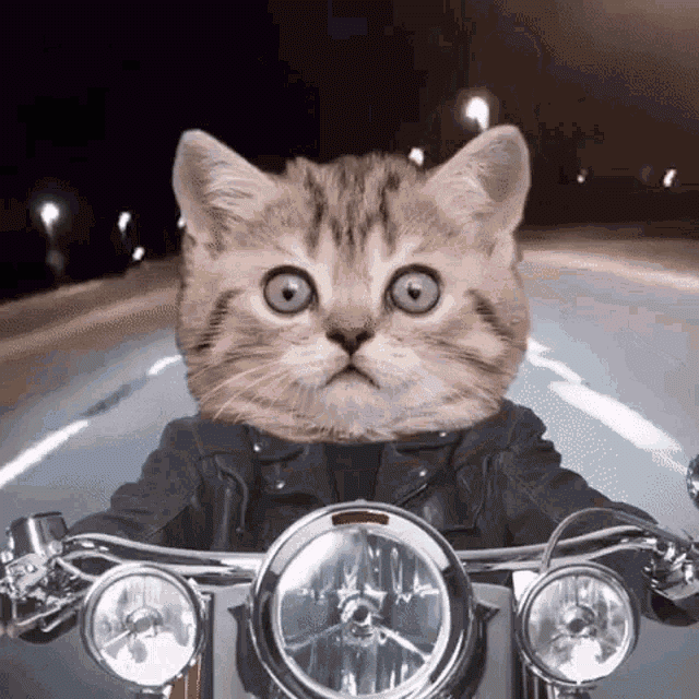 Kuk0SD.gif