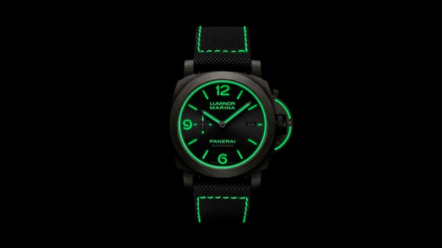 pam1119 cat front notturna 2033292