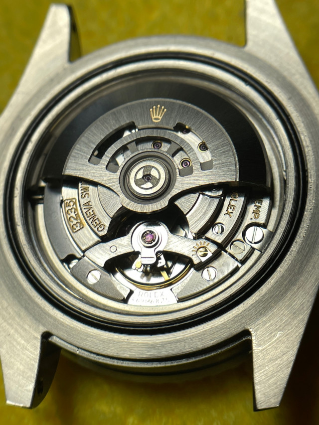 Z79Gdn.jpg
