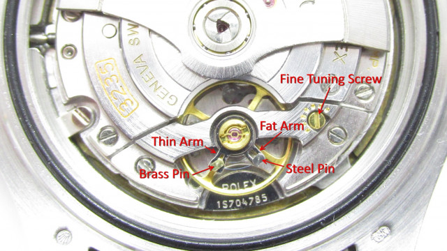 3235 Movement Labeled