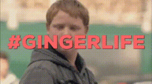 jJwxIF.gif