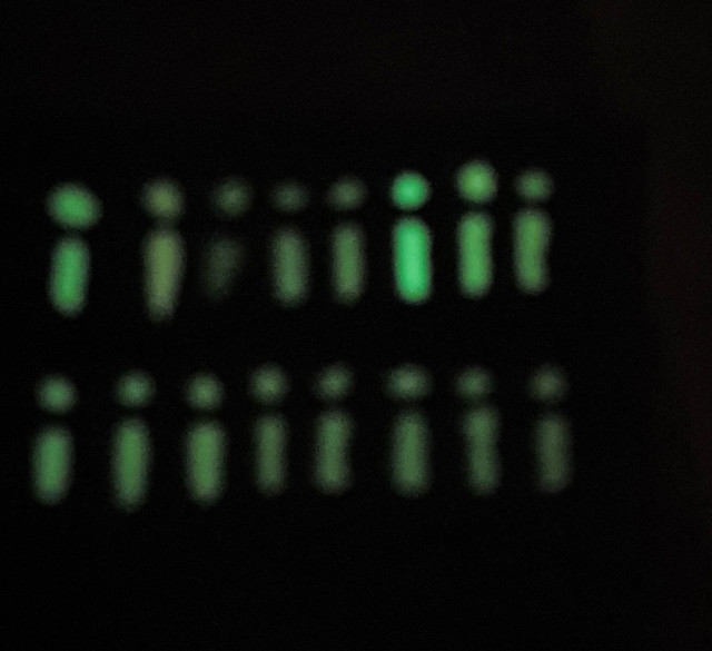 20220216 174709