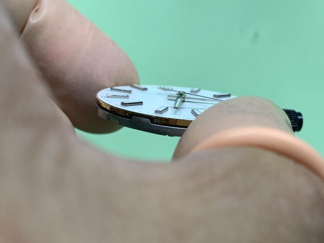 IMG 0351